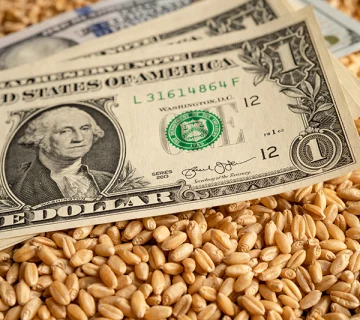 انتخاب و خرید نهاده‌های دامی با کیفیت