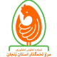 لوگو شرکت تعاونی مرغ تخم گذار استان زنجان
