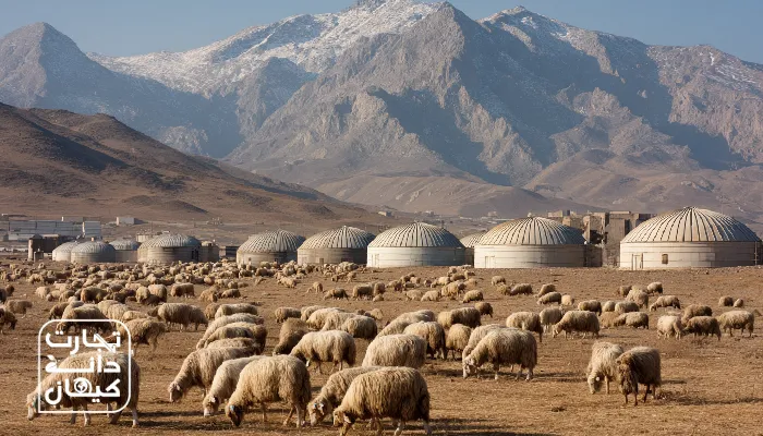 نمایی از دامداری‌ها و سیلوهای خوراک دام در شهرستان مرودشت استان فارس