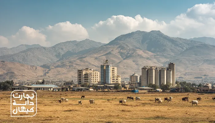 متن جایگزین تصویر (Alt Text): نمایی از دامداری‌ها و مرغداری‌های صنعتی شیراز با سیلوهای خوراک دام و مناظر کشاورزی جنوب ایران