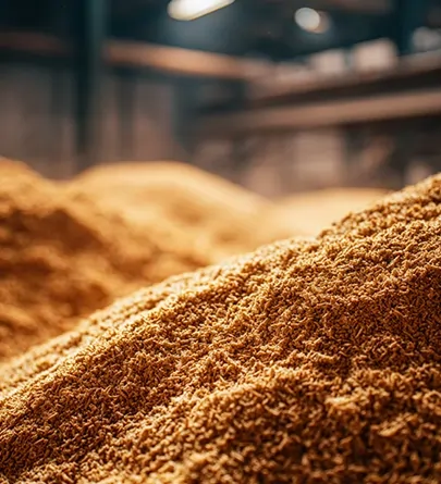 کنجاله سویا با رنگ طلایی روشن در انبار خوراک دام، مناسب برای تأمین پروتئین جیره